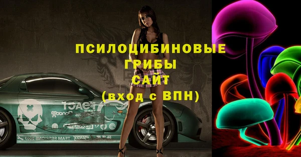mdma Заводоуковск