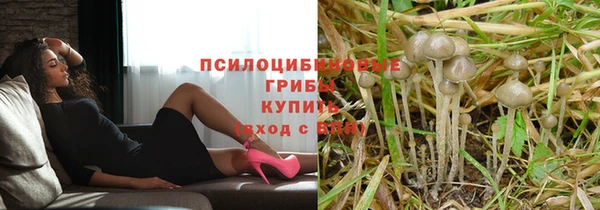 ALPHA PVP Заволжск